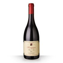 Domaine Remoriquet Bourgogne Pinot Noir Rouge 2021 75cl www.odyssee-vins.com