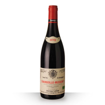 Dominique Laurent Chambolle-Musigny Rouge 2019 75cl www.odyssee-vins.com
