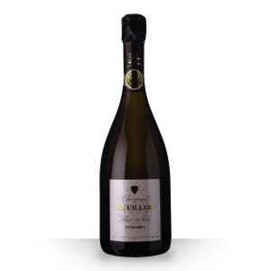 Champagne Trouillard Blanc de Noirs Extra Brut 75cl www.odyssee-vins.com
